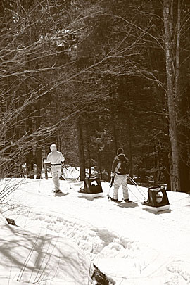 Snowshoeing with the Kids